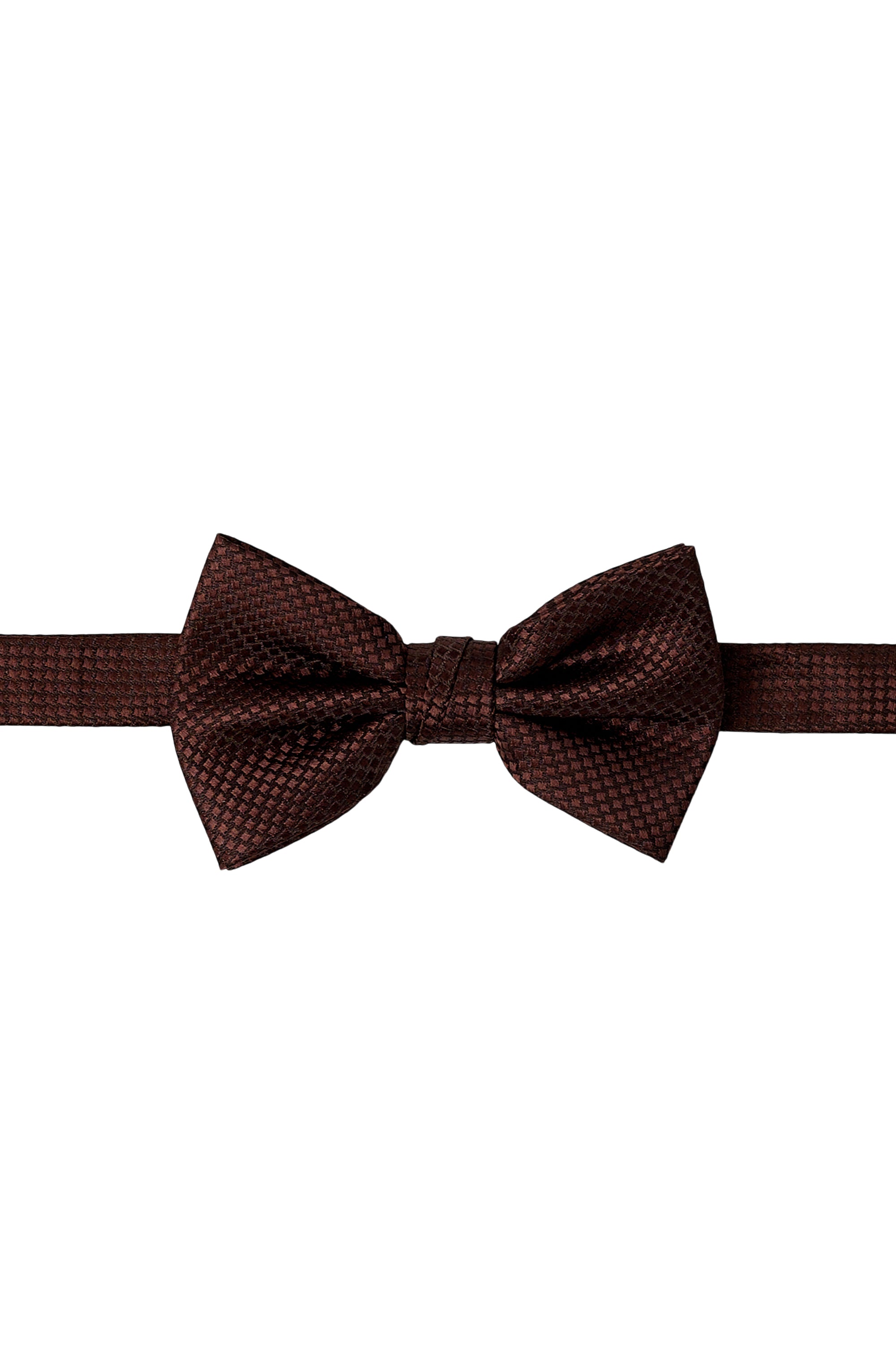 #color_brown
