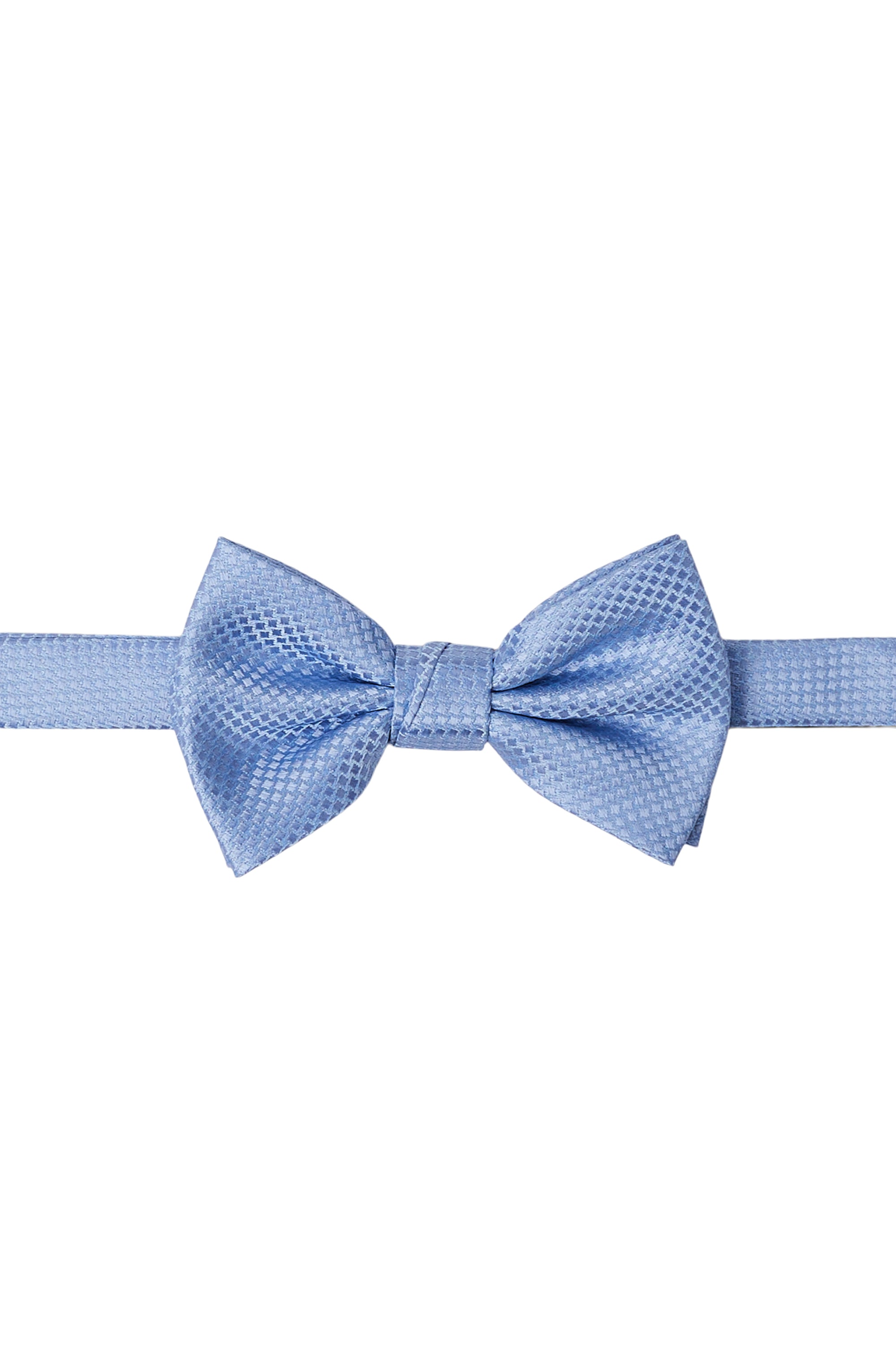 #color_light blue