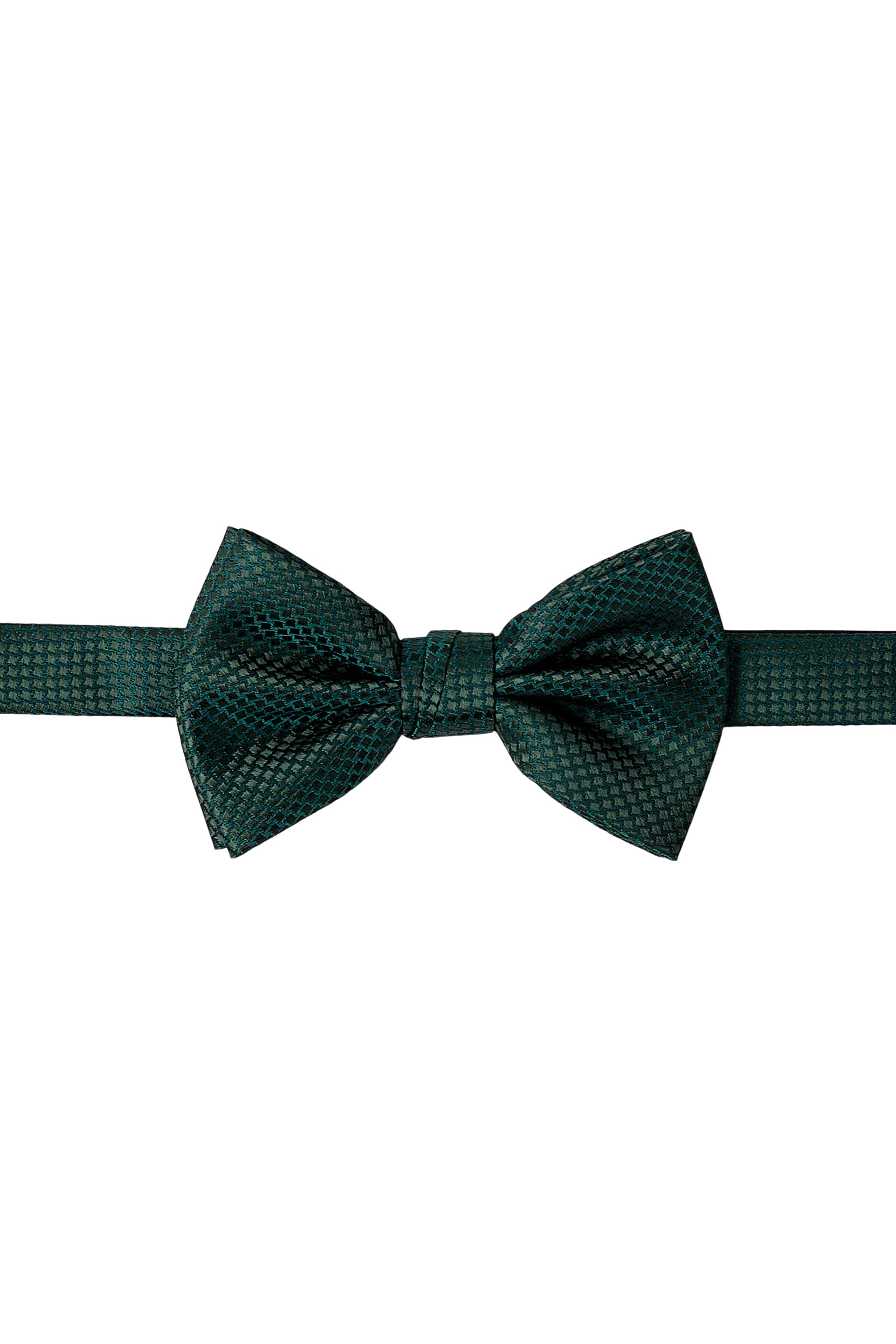 #color_military green