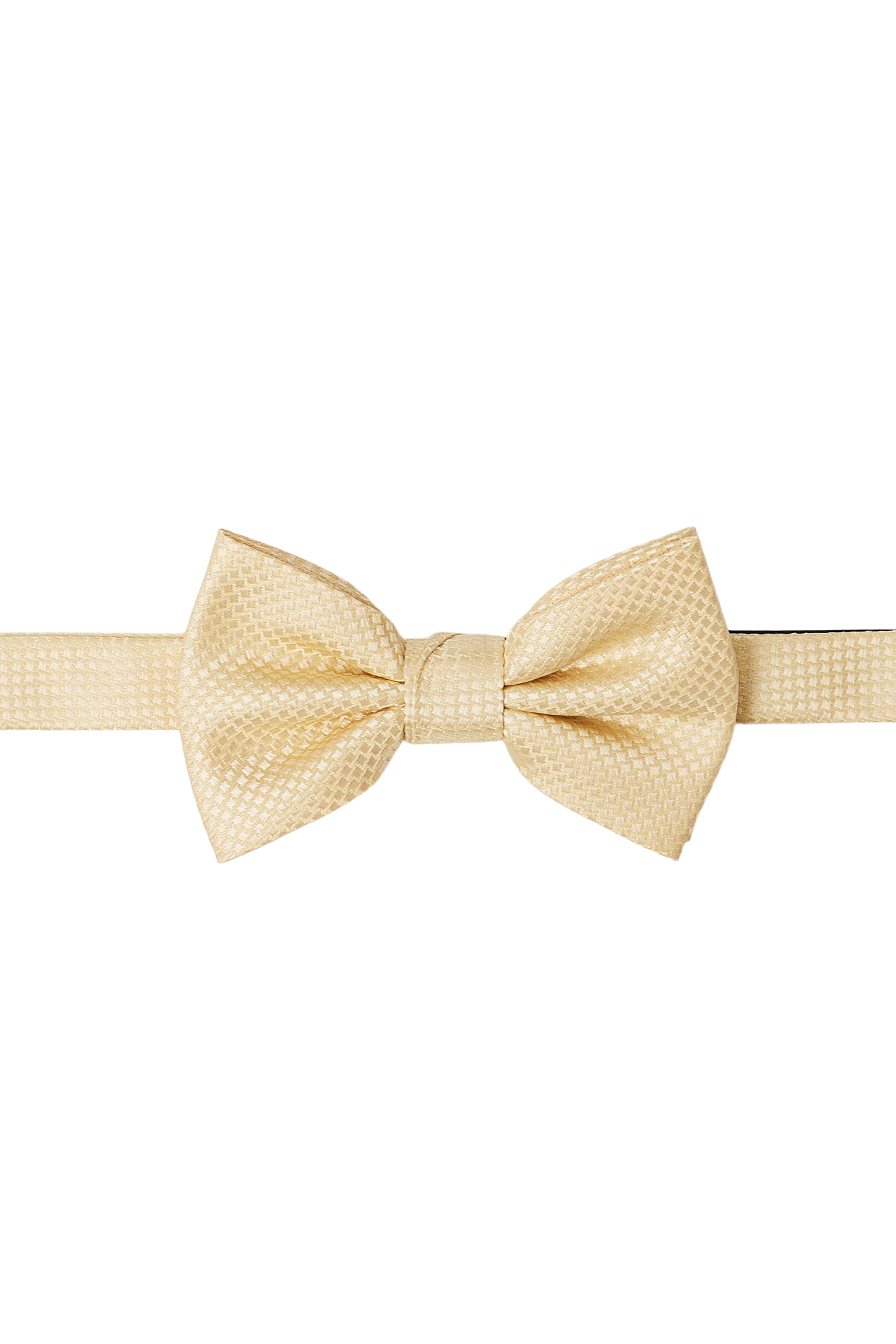 Elm Textured Solid Bow Tie
