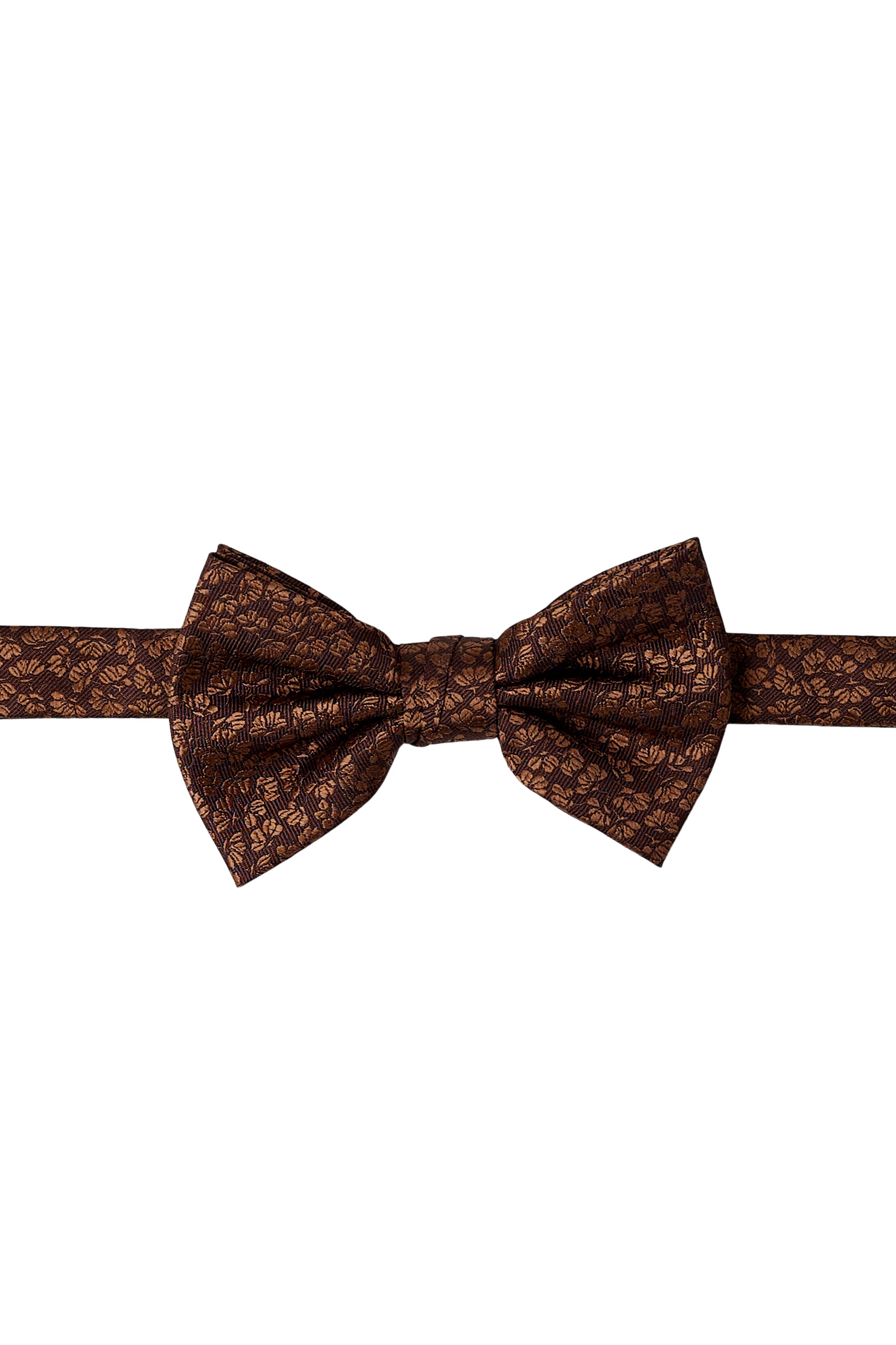 #color_brown